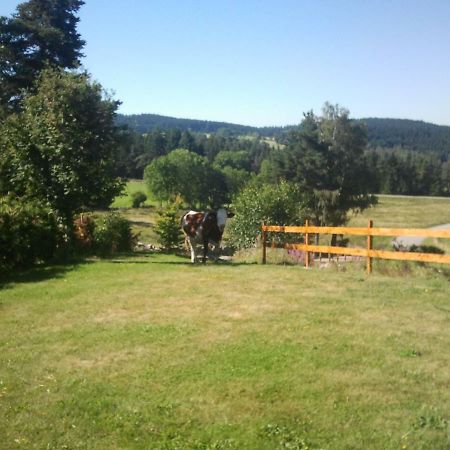 Ressourcez vous en pleine nature! Saint-Regis-du-Coin Extérieur photo